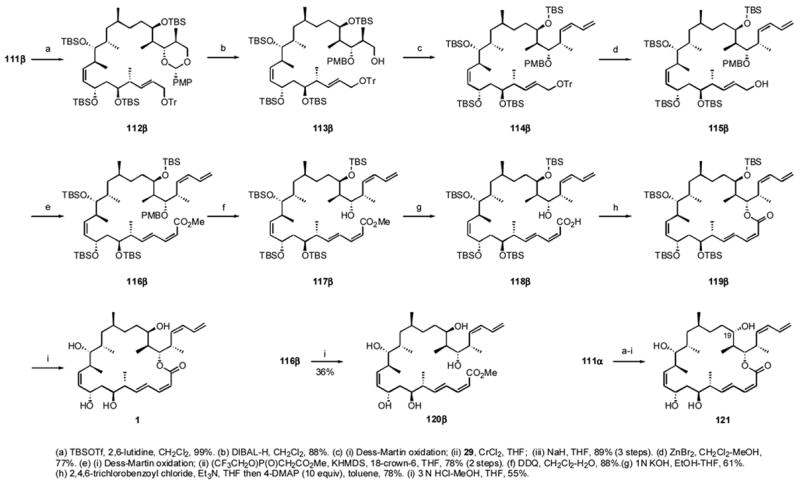 Scheme 11