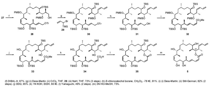 Scheme 3