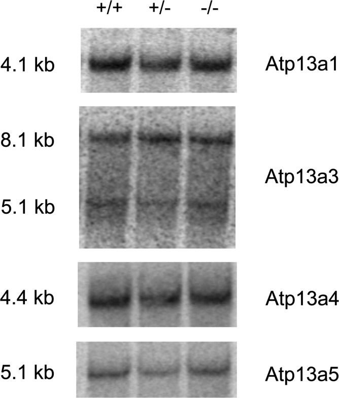 Figure 3.