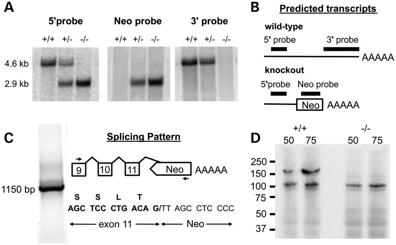 Figure 2.