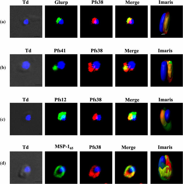 Fig. 3