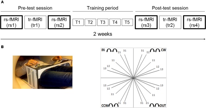 FIGURE 1