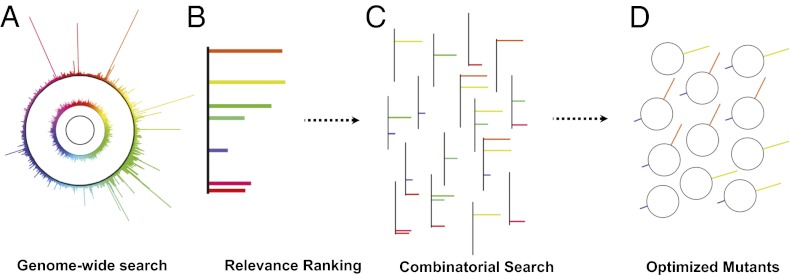 Fig. 1.