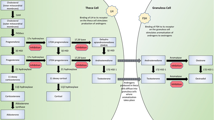 Figure 1