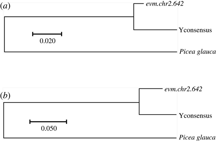 Figure 3. 