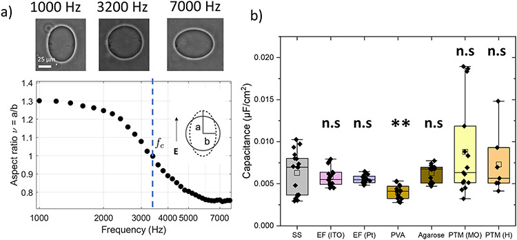 Figure 5: