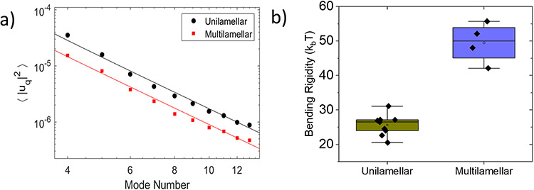 Figure 4: