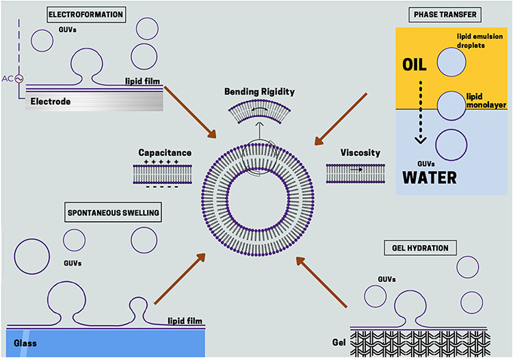 Figure 1: