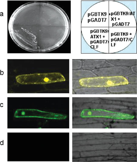 Figure 5.