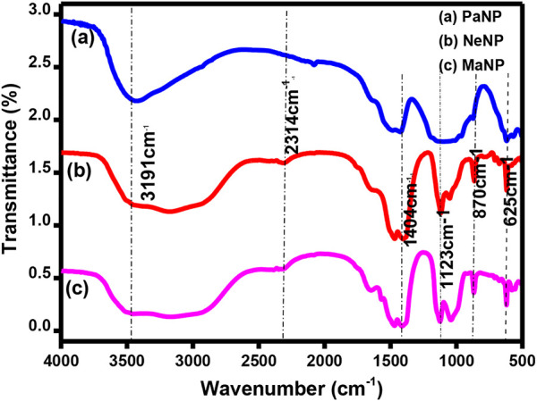 FIGURE 3