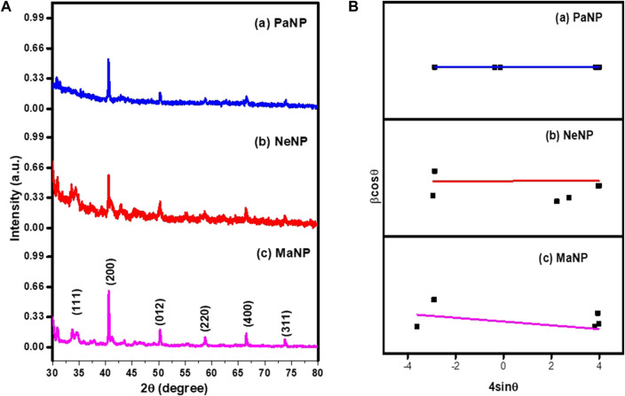 FIGURE 2