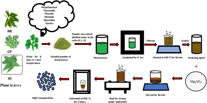 FIGURE 1