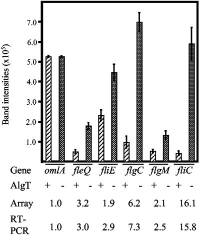 FIG. 4.