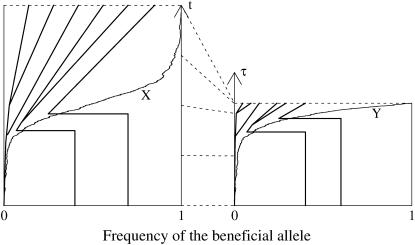 Figure 1.—