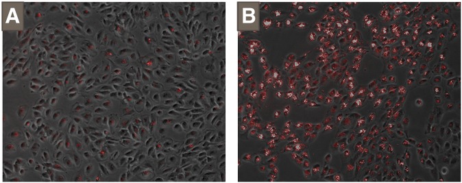 Fig. 4.