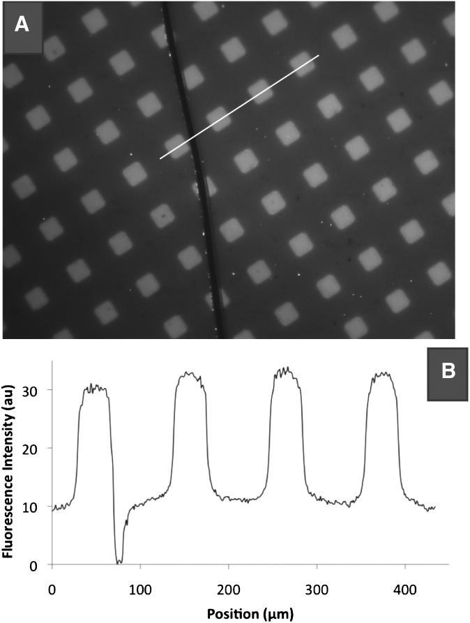 Fig. 3.