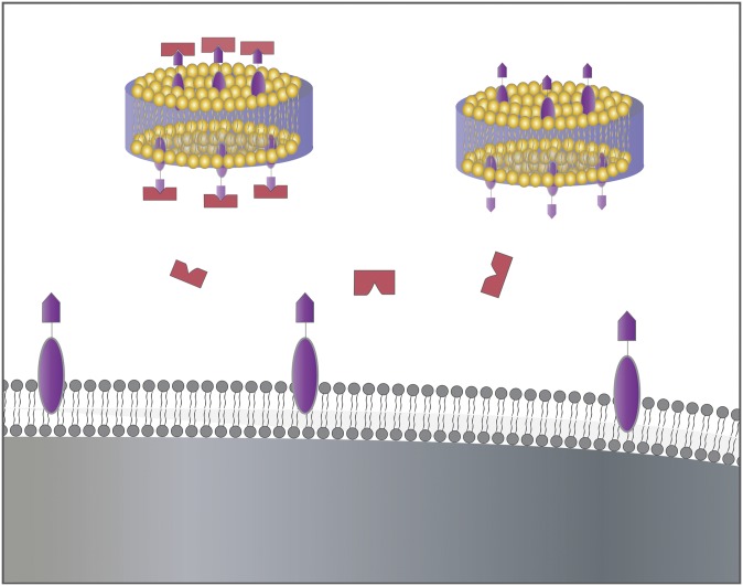 Fig. 1.