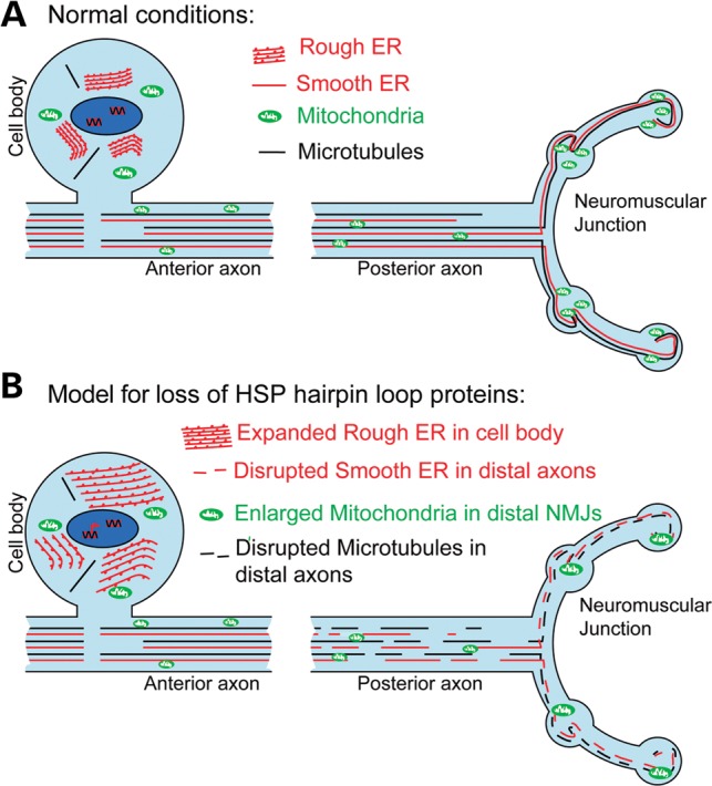 Figure 6.