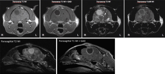 FIG 1