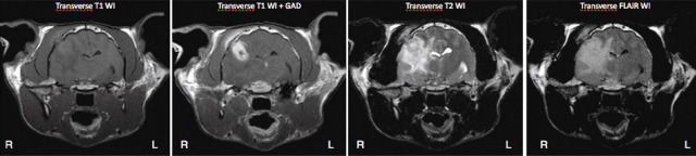 FIG 2