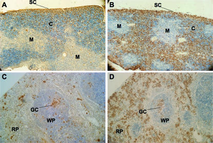 FIG. 6.