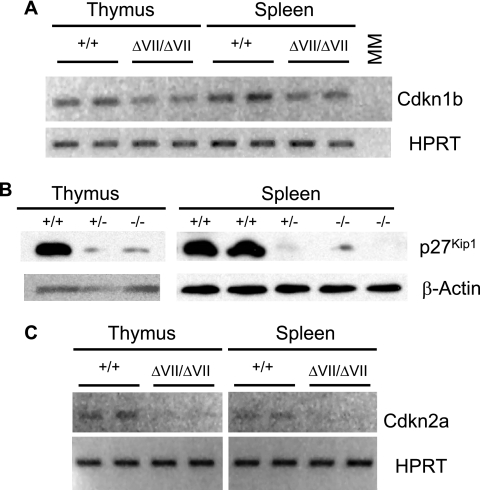 FIG. 8.