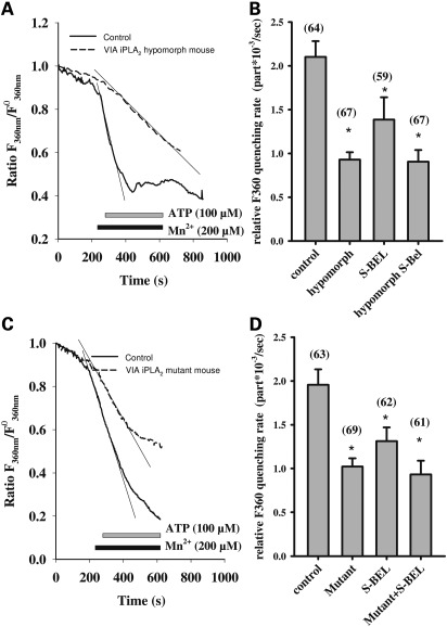 Figure 3.