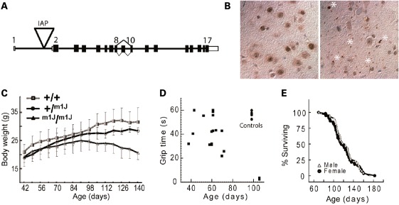 Figure 1.