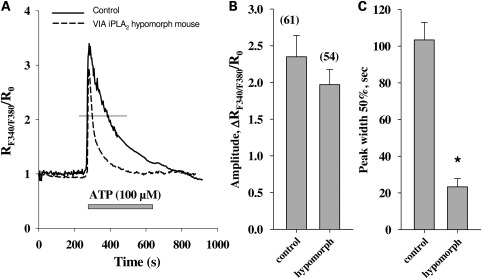 Figure 2.