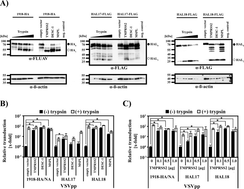 Fig 6