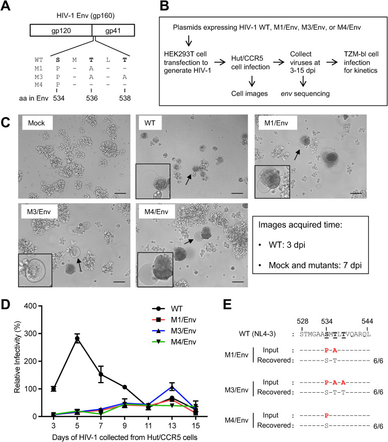 FIG 1