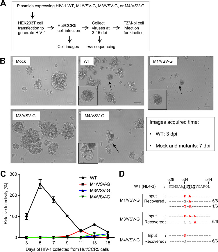 FIG 2