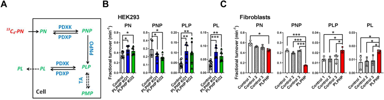 Figure 5