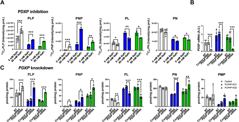 Figure 6