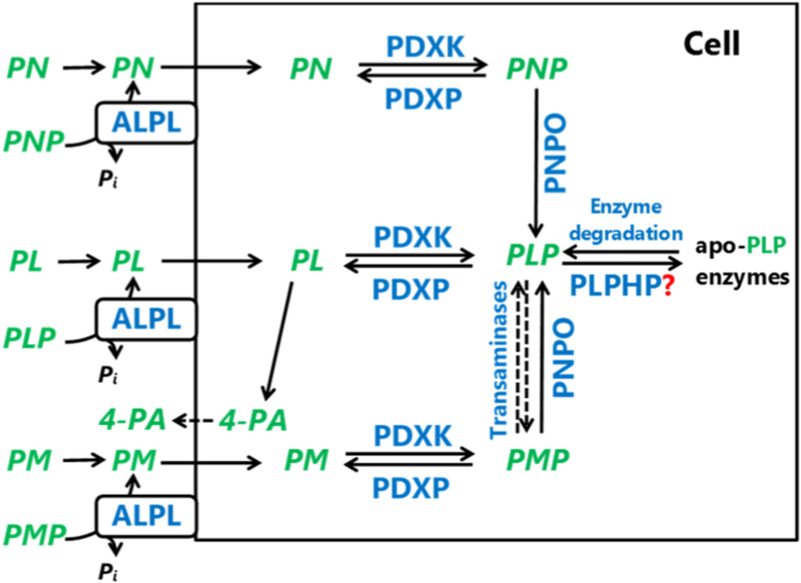 Figure 1