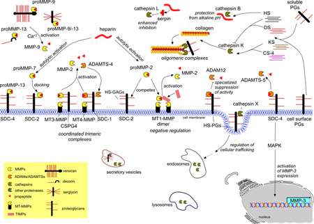 graphic file with name nihms817237f2.jpg