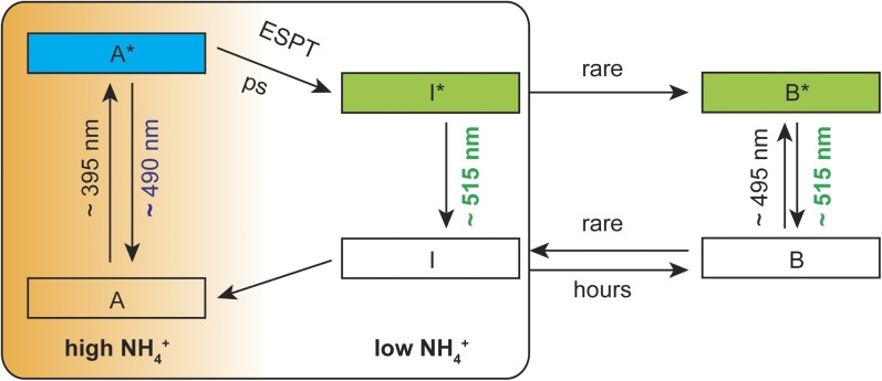 Figure 5.