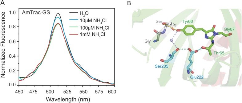 Figure 2—figure supplement 1.