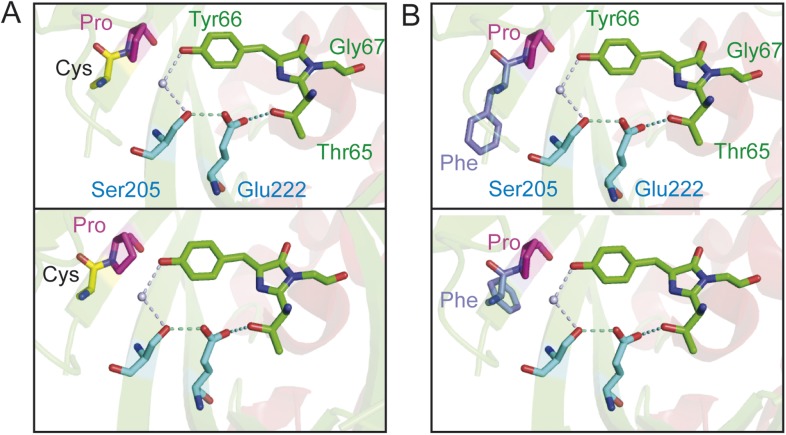 Figure 3—figure supplement 2.