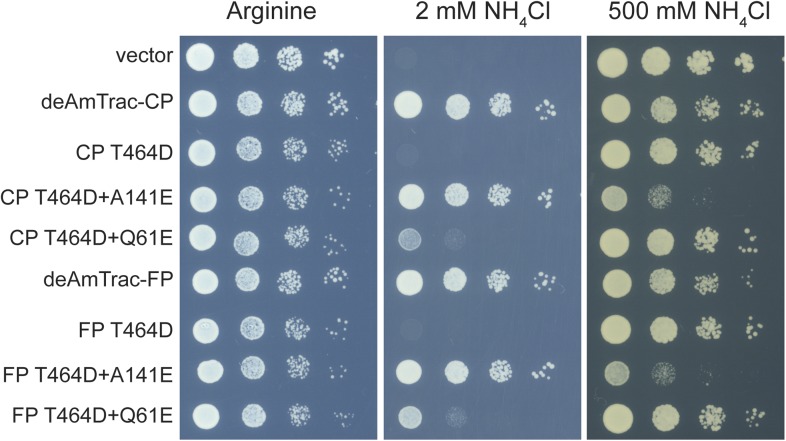 Figure 4—figure supplement 1.