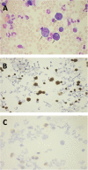 Fig. 1
