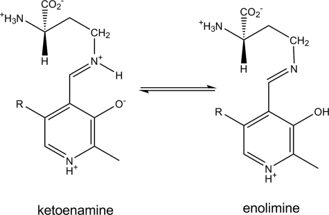 SCHEME 3.