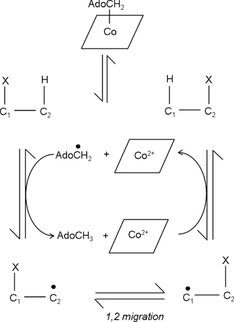 SCHEME 1.