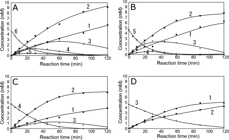 FIGURE 5.