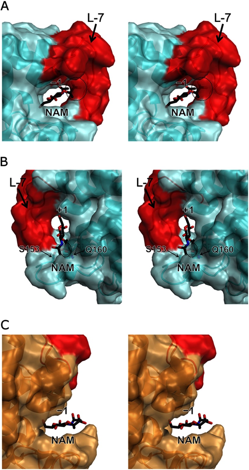 FIGURE 7.