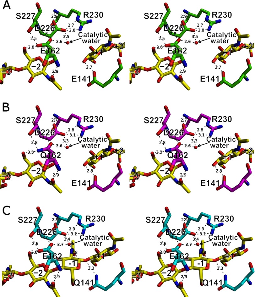 FIGURE 4.