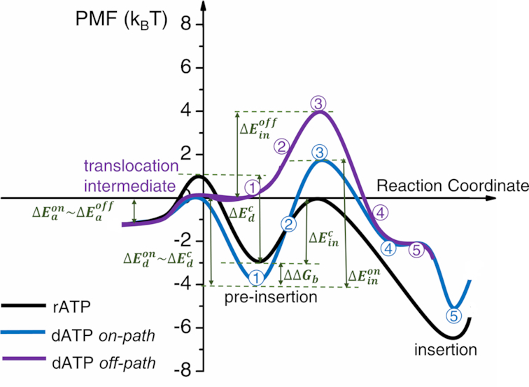 Figure 8.