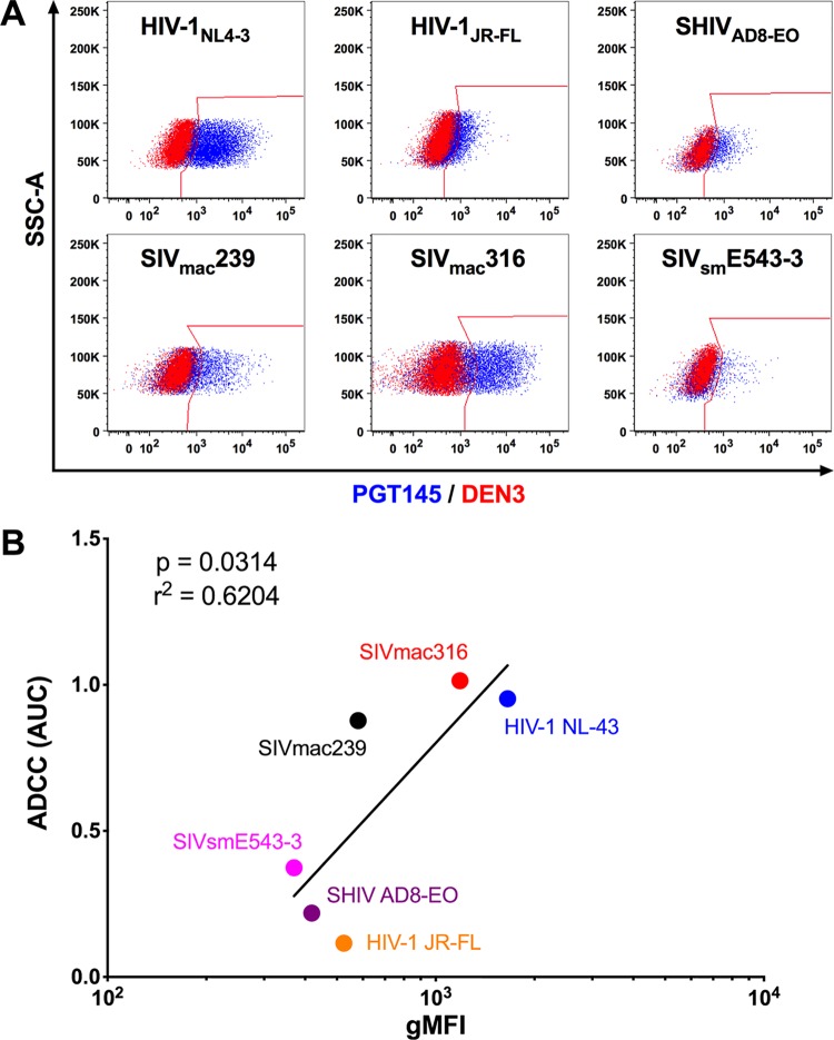 FIG 2