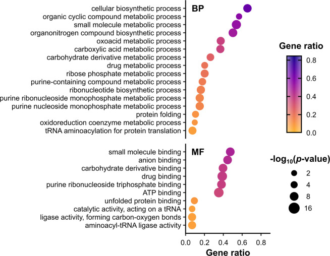 Figure 3—figure supplement 1.