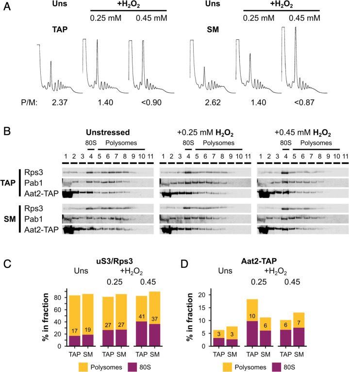 Figure 7—figure supplement 3.